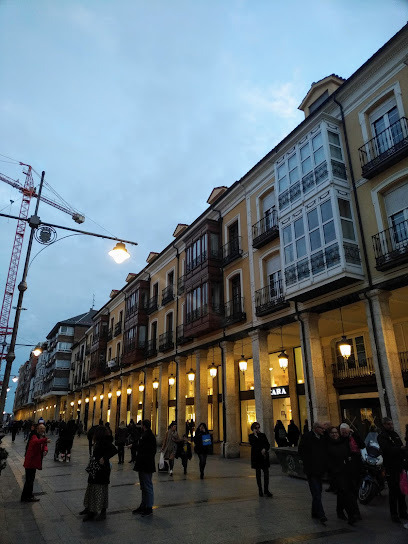 Librería del Burgo - Opiniones