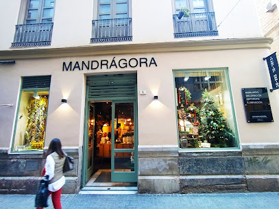 Mandrágora Decoración - Opiniones