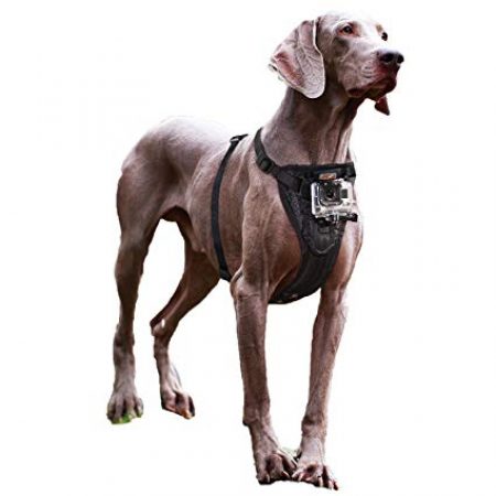 mejores arneses para perros - Kurgo Tru-Fit Smart Dog